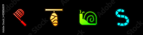 Set Butterfly net, cocoon, Snail and Worm icon. Vector.