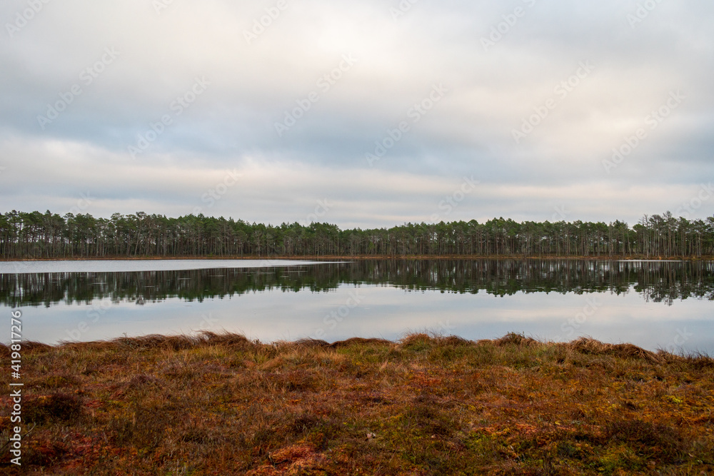 Fototapeta premium The Girupe lake in the nature trail of the Blind swamp in Latvia during gloomy and cloudy winter day