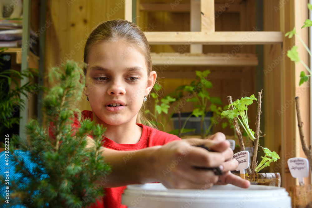 The girl takes the soil from the bucket for planting plants, close-up The girl takes the soil from the bucket for planting plants, close-up