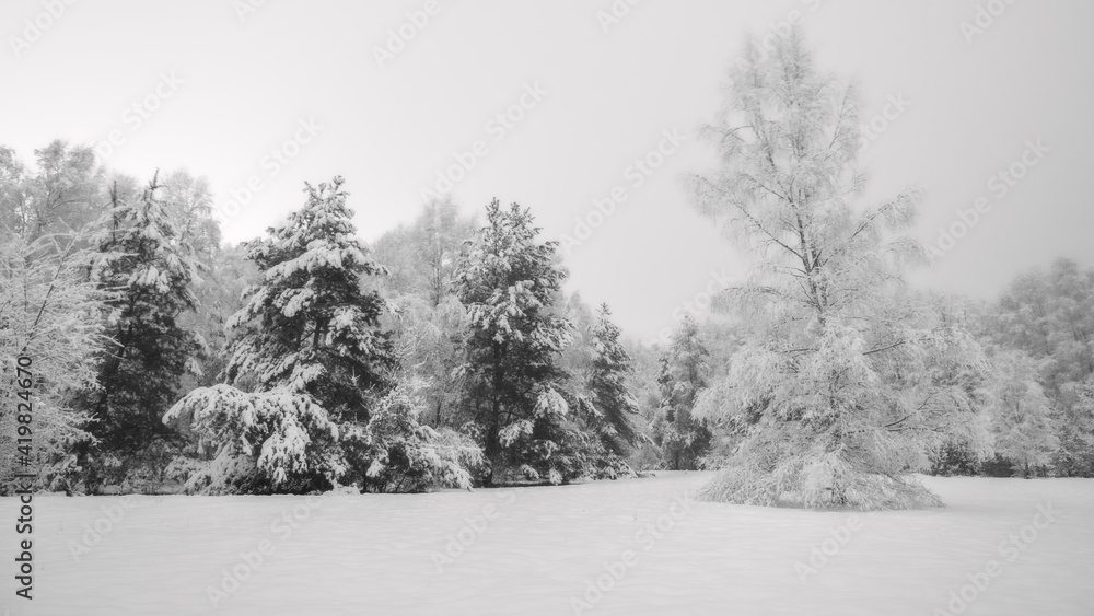 Fototapeta premium OLYMPUS DIGITAL CAMERA