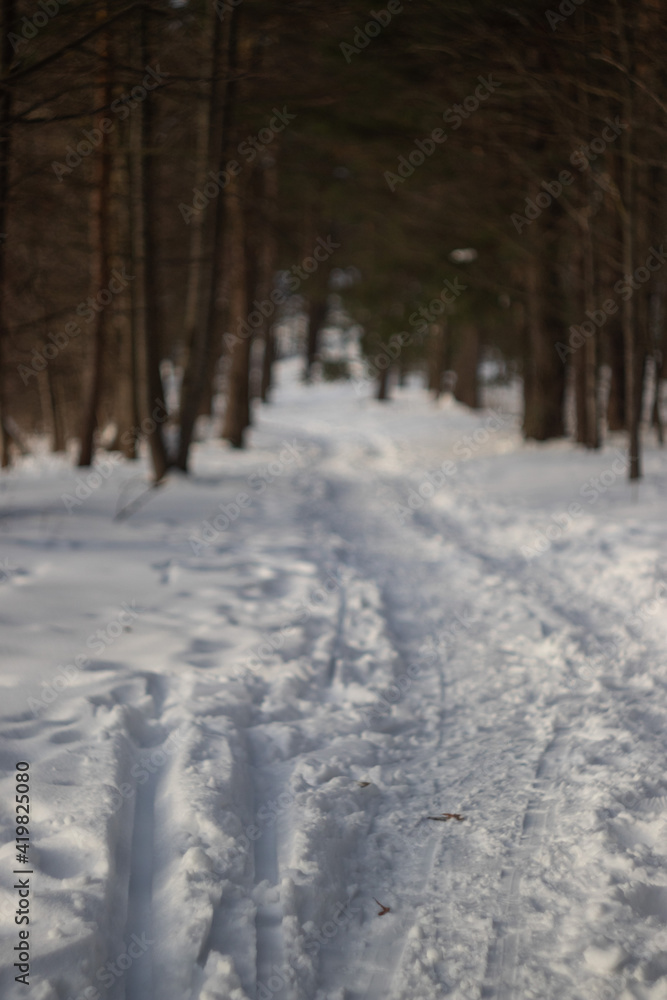 Sunny Winter wonderland feels in Latvia Sunny Winter wonderland feels in Latvia
