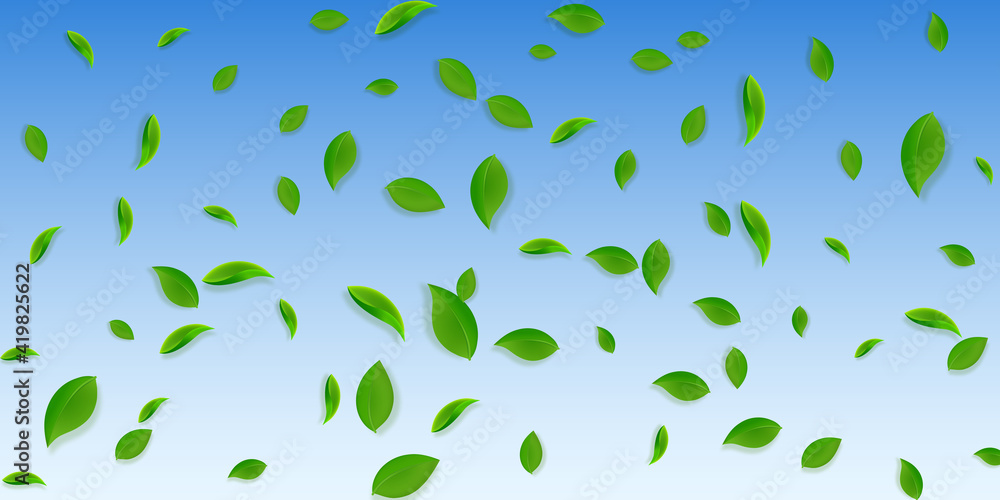 Falling green leaves. Fresh tea chaotic leaves fly Falling green leaves. Fresh tea chaotic leaves fly