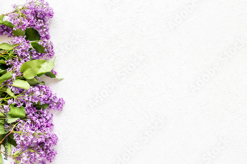 Border of spring lilac flowers. Flat lay, top view