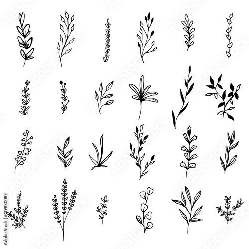 Collection sketch twigs. Hand drawn vector floral elements.