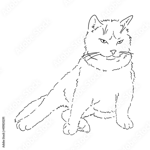 A drawing of a fat, fluffy, imposing cat sitting facing us, leaning on its front paw. Black and white linear isolated illustration. Linear style. Stock vector image.