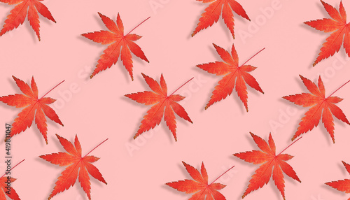 red leaves seasonal design color background.