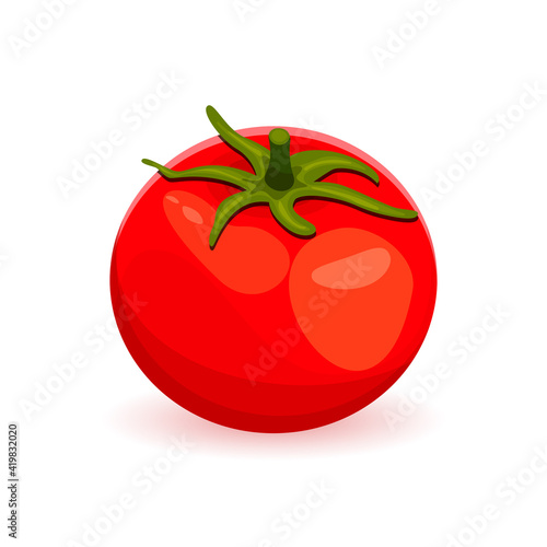 red ripe tomato with a tail isolated on a white background. Wind illustration of juicy ripe tomato. Vector illustration