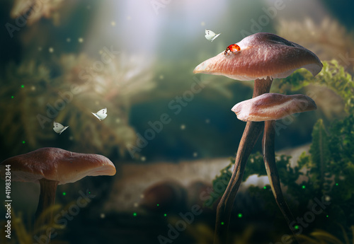 Fantasy magical Mushrooms glade, Ladybug and Butterflies in enchanted fairy tale dreamy elf Forest, fabulous fairytale deep dark wood and moon rays in night, mysterious nature background