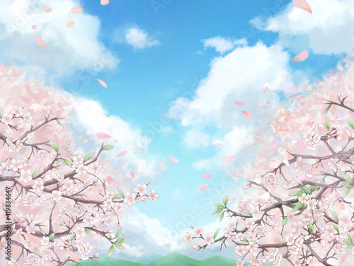 桜の並木背景イラスト1/カラー背景 © 晃糊