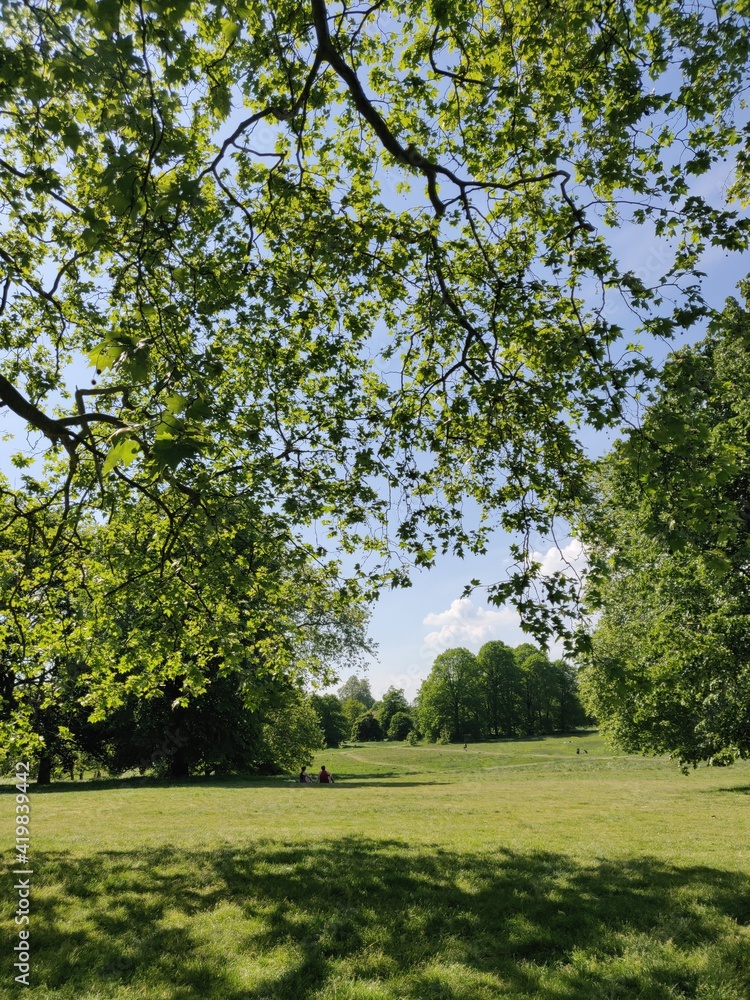 Fototapeta premium img