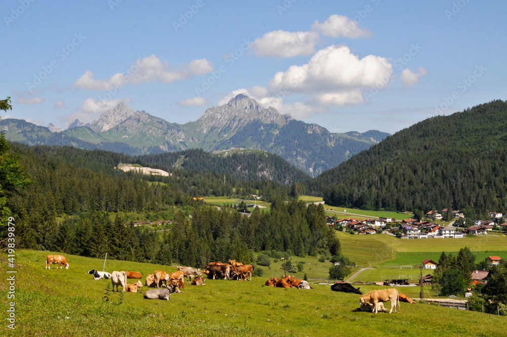 Wandern im Tirol
