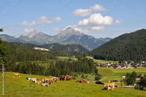Wandern im Tirol