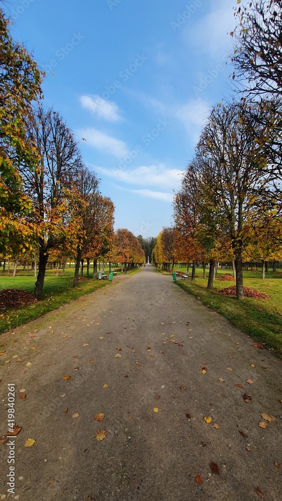 autumn in the park