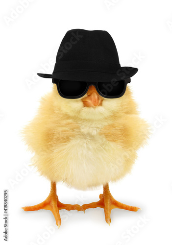 Cute cool chick with dark glasses and black hat funny conceptual photo 