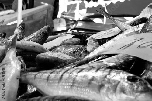Fishing details in Sicily, black and white
