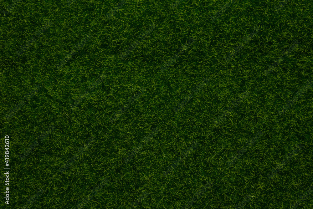 Green lawn background. Green grass. Green lawn background. Green grass.