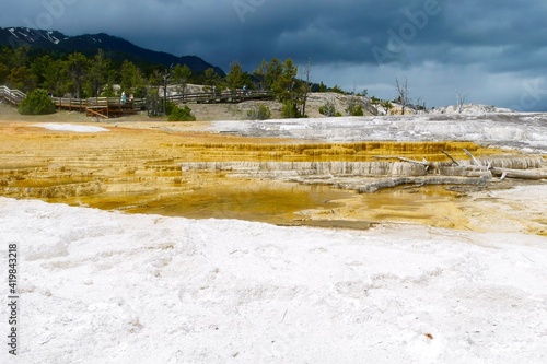 Palette Spring Terrace at Mammoth Hot Springs in Yellowstone National Park, Wyoming, USA