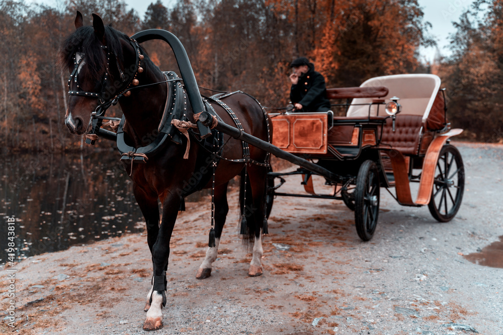 Retro background of chestnut horse in carriage near beautiful lake and autumn forest.