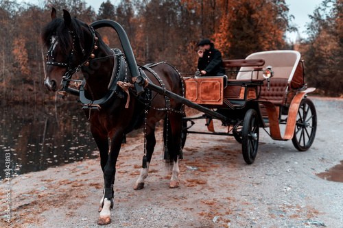 Retro background of chestnut horse in carriage near beautiful lake and autumn forest.