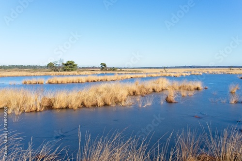 Wetlands in National Park de Hoge Veluwe in the Netherlands