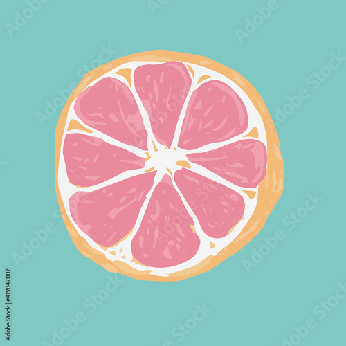 Grapefruit in vector graphics. can be used as wallpaper or for printing.