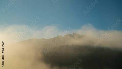 Germany, Magical view of black forest schwarzwald mountains covered with trees in foggy atmosphere