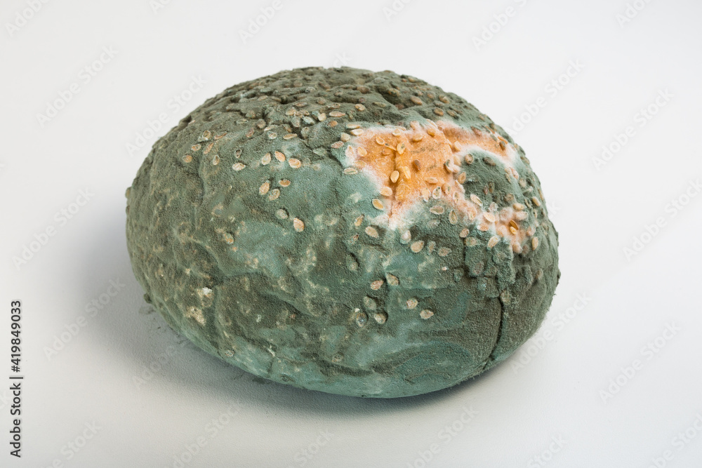 Round loaf with mold on white background spoiled product Round loaf with mold on white background spoiled product