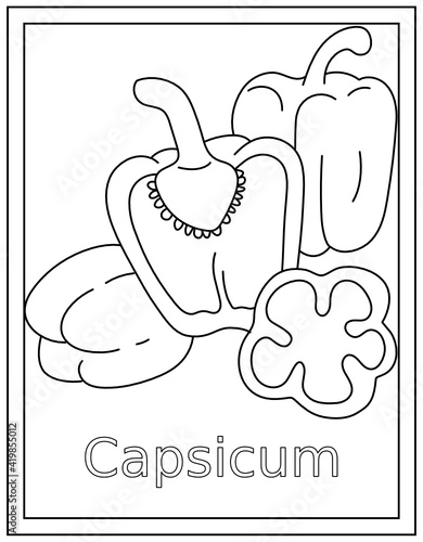 
A modern style vector of capsicum drawing 

