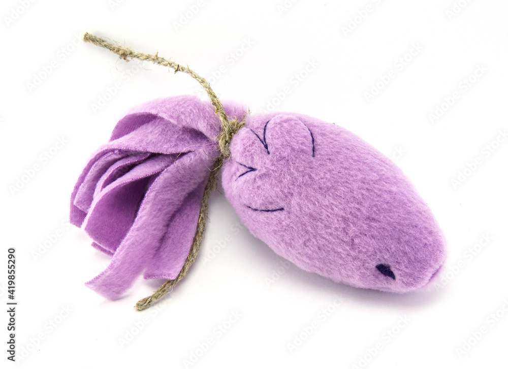Fototapeta premium cat toy fish purple color on a white background,toy for cats fish