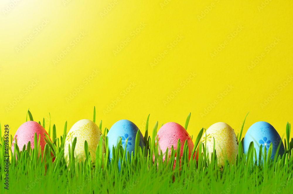 Colorful Easter eggs in a green grass with yellow background. Easter concept. Easter eggs.