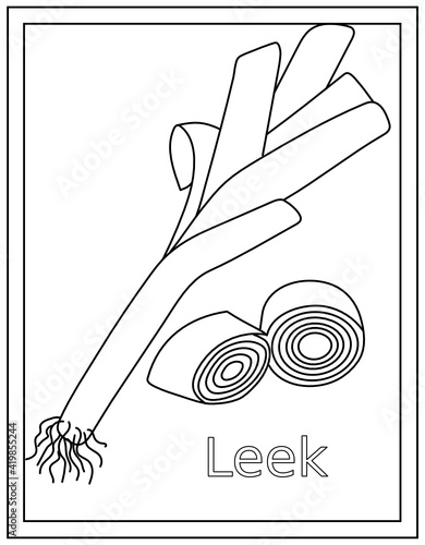 
Vector design of leek coloring page 

