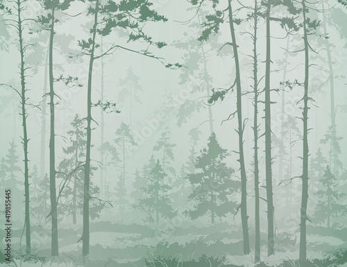 seamless horizontal background with pine forest. Light colors, green