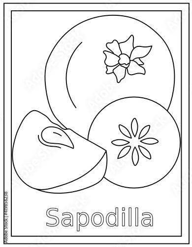 
Sapodilla coloring page design in hand drawn vector 

