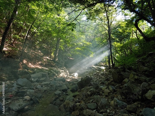 waterfall in the forest