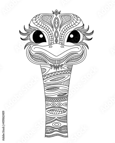 Ostrich head coloring book illustration. Black and white lines. Print for t-shirts and coloring books.	
