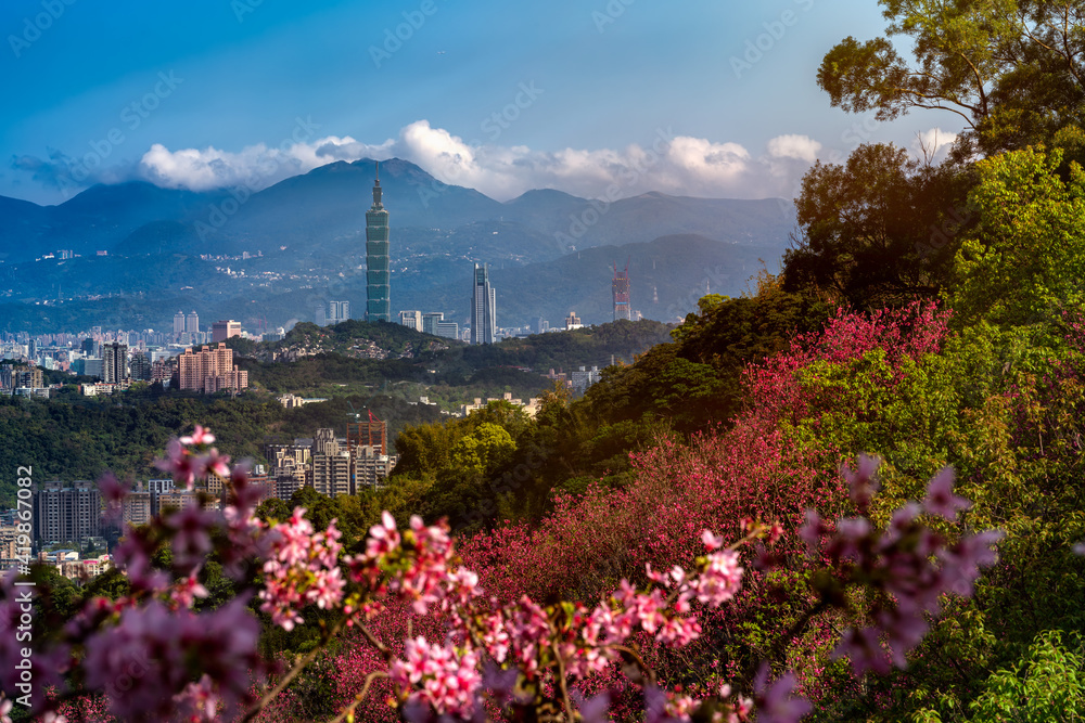 Fototapeta premium Beautiful view of cherry blossom with Taipei cityscape in Spring, Taiwan