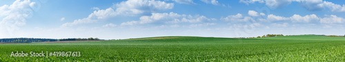Panorama of green meadow with blue sky and clouds on a sunny summer day © luchschenF