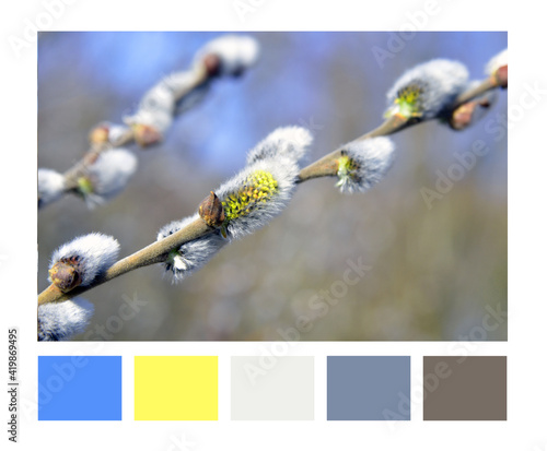 Color Palette Inspired by nature. Color Scheme.