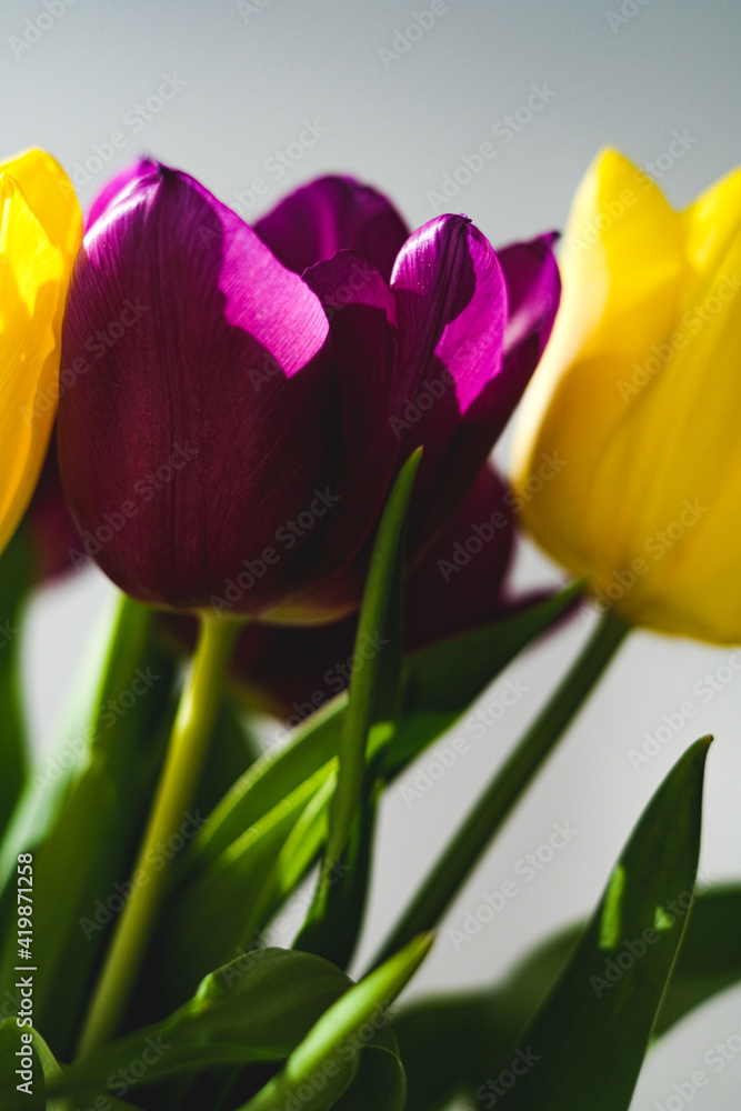 Lilac purple tulip flowers on table. Spring bouquet flowers in vintage vase. Floral concept. Floral background. White decoration and light background Lilac purple tulip flowers on table. Spring bouquet flowers in vintage vase. Floral concept. Floral background. White decoration and light background
