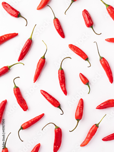 Fresh Red Chili with white background stock image.