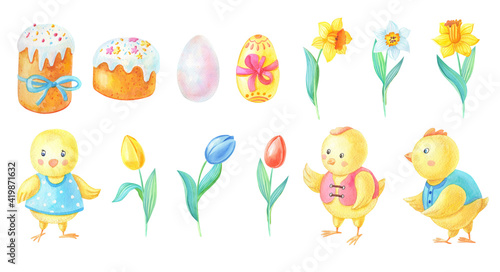 Watercolor Easter set of cute yellow chickens in clothes,cake,daffodil,tulip,Narcissus. Blue,red,yellow flower and egg