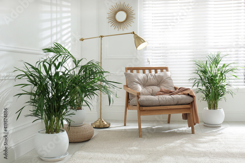 Stylish room interior with exotic house plants