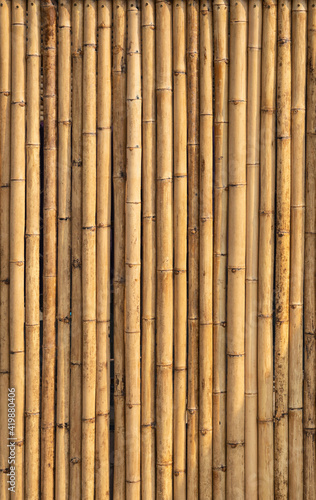 Bamboo wall with natural texture in hi resolution  Bamboo panel for background  vertical direction