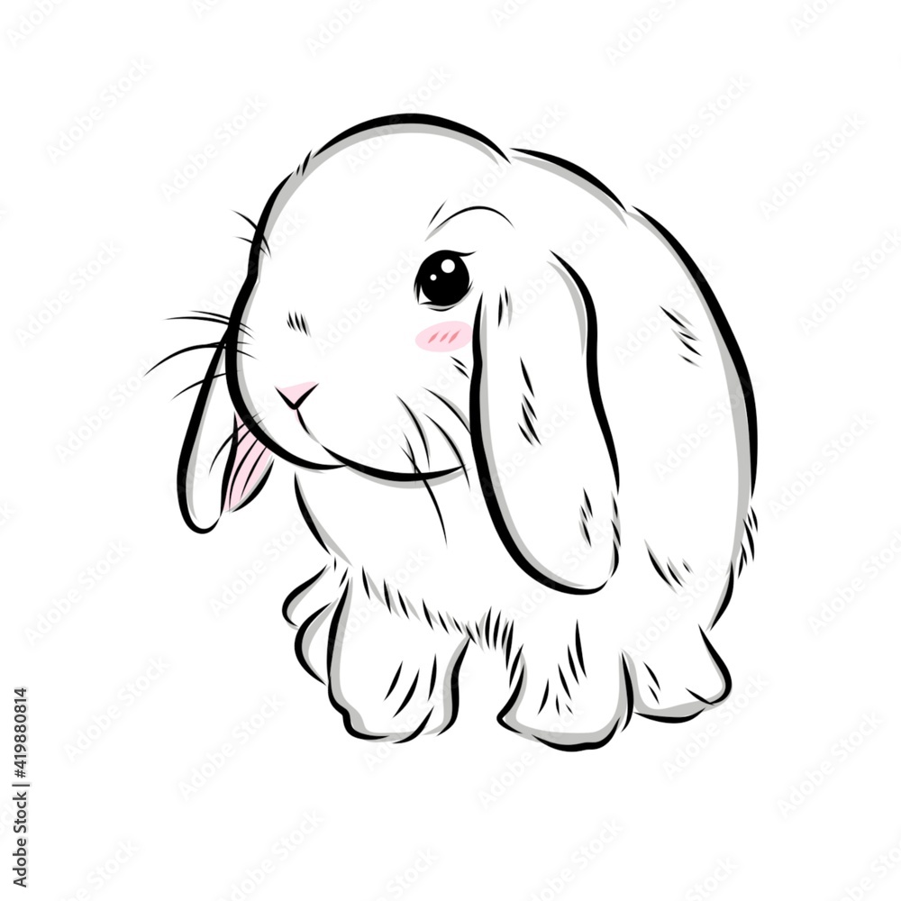 My Image 8