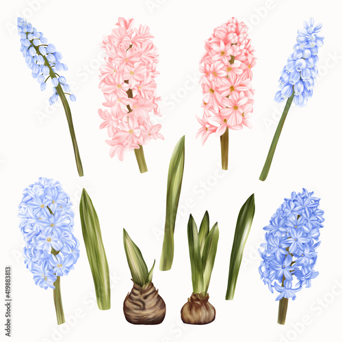 Blue And Pink Flowers Hyacinths Easter Holidays
