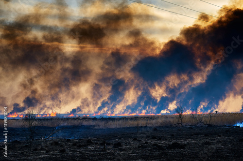 Wildfires. Burning estuary. Fire in the steppe. photo