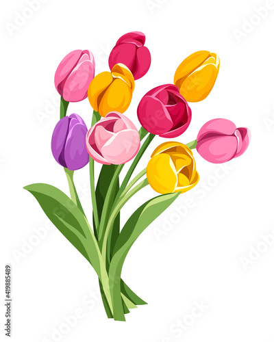 Vector bouquet of red, pink, orange, yellow and purple tulip flowers isolated on a white background. #419885489