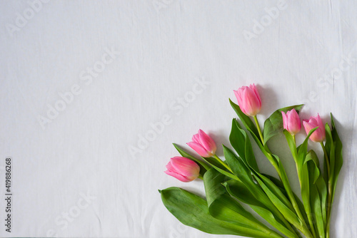 light background and five pink tulips, space for text, selective focus
