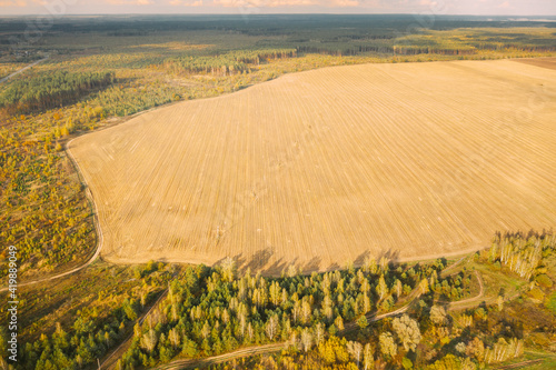 Aerial View Plantation With Young Green Forest Area Near Rural Field Landscape. Top View Of New Young Growing Forest. European Nature From High Attitude In Autumn Season