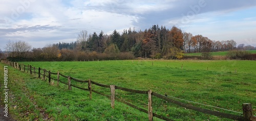 field